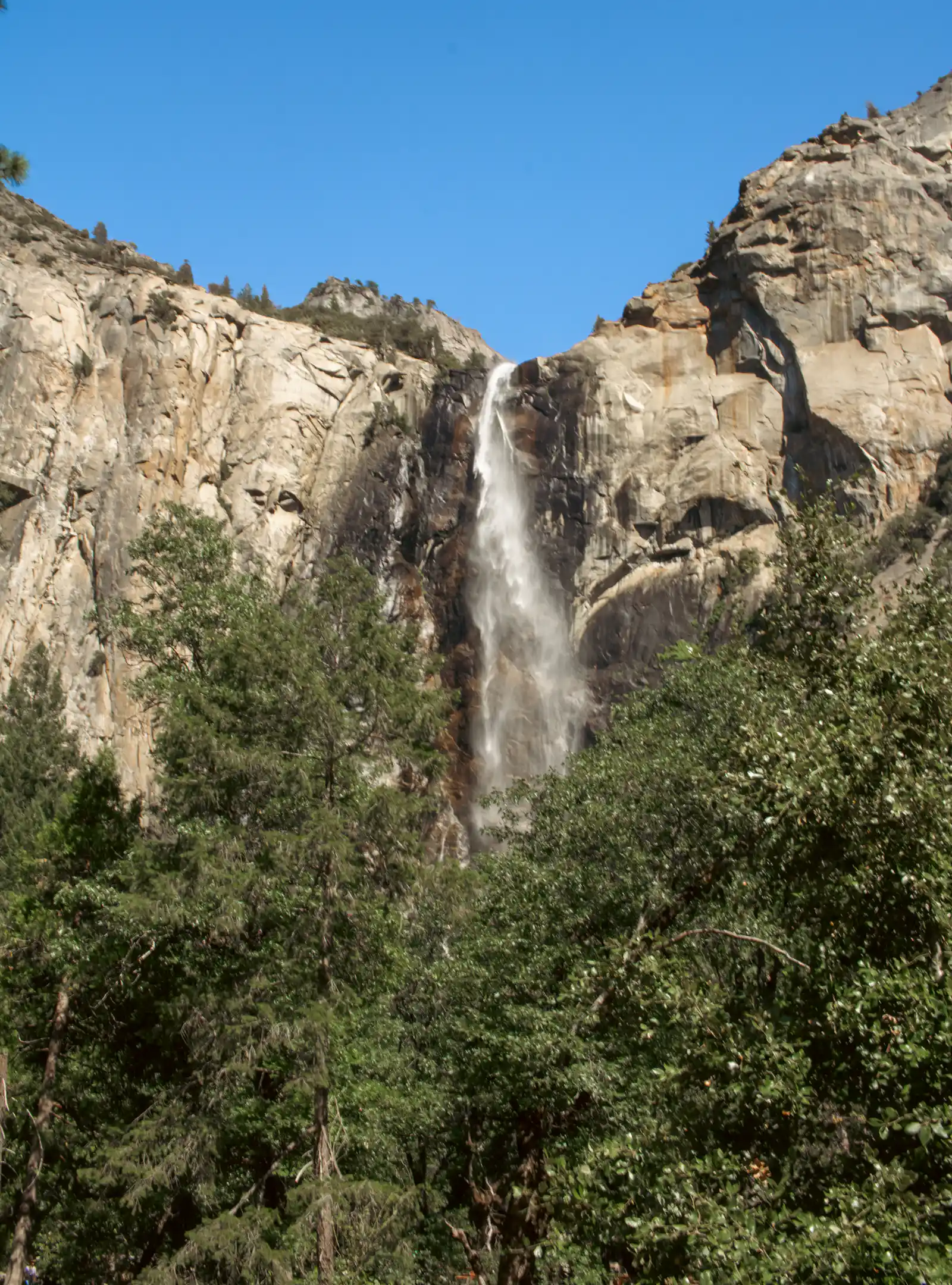 Tall waterfall cascading down a sheer granite cliff face surrounded by pine trees under a clear blue sky