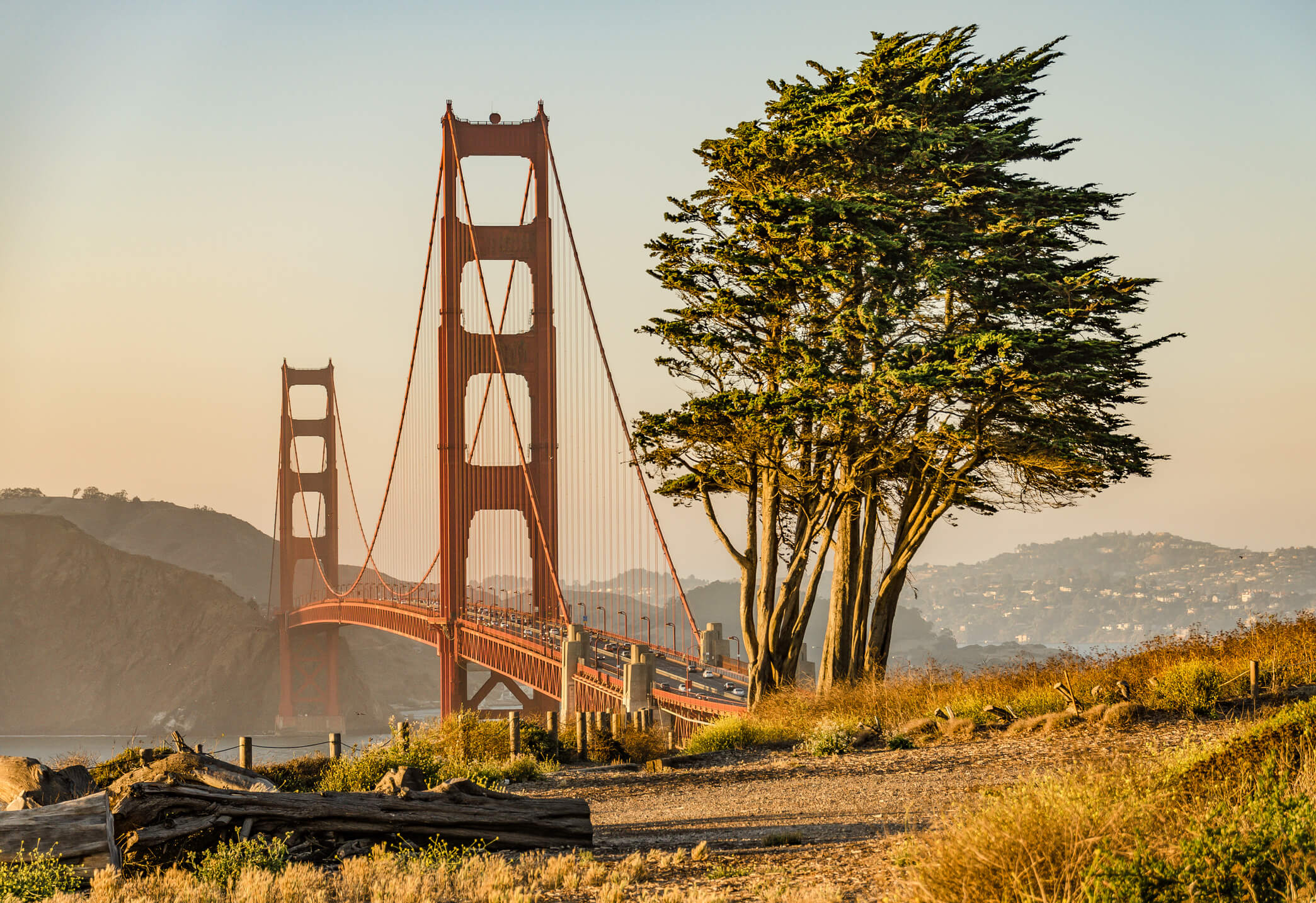 View of San Francisco's Golden Gate Bridge with a striking tree just before sunset<br />
